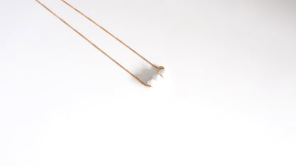 Howlite rondelle gemstone gold necklace